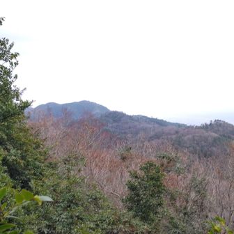 曇っていて「大山🏔️」や「宍道湖💧」は見えません👀🍁

下は北山縦走路の”大黒山４４３ｍ”🏕️、手前の鞍部に”遥堪峠”🍰

左奥は同じ縦走路の”天ケ峰４５８ｍ”🏕️、

最奥は出雲北山縦走路の最高峰「鼻高山５３６ｍ」🏔️も見える👀🍁