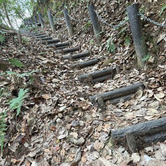 階段が、終わらない