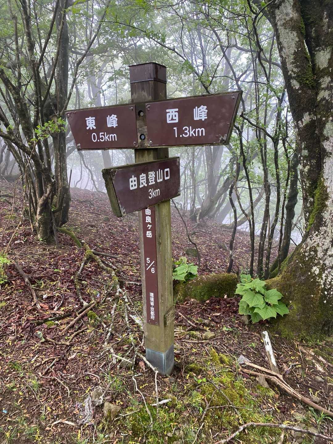 丹後由良駅-由良岳登山口-由良ヶ岳-由良ヶ岳 縦走コースの写真