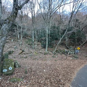 県道沿いを進んで看板無いが左から入山🤜