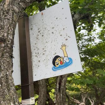 山で溺れてる（笑）

山という沼にハマって溺れてる…のか⁈