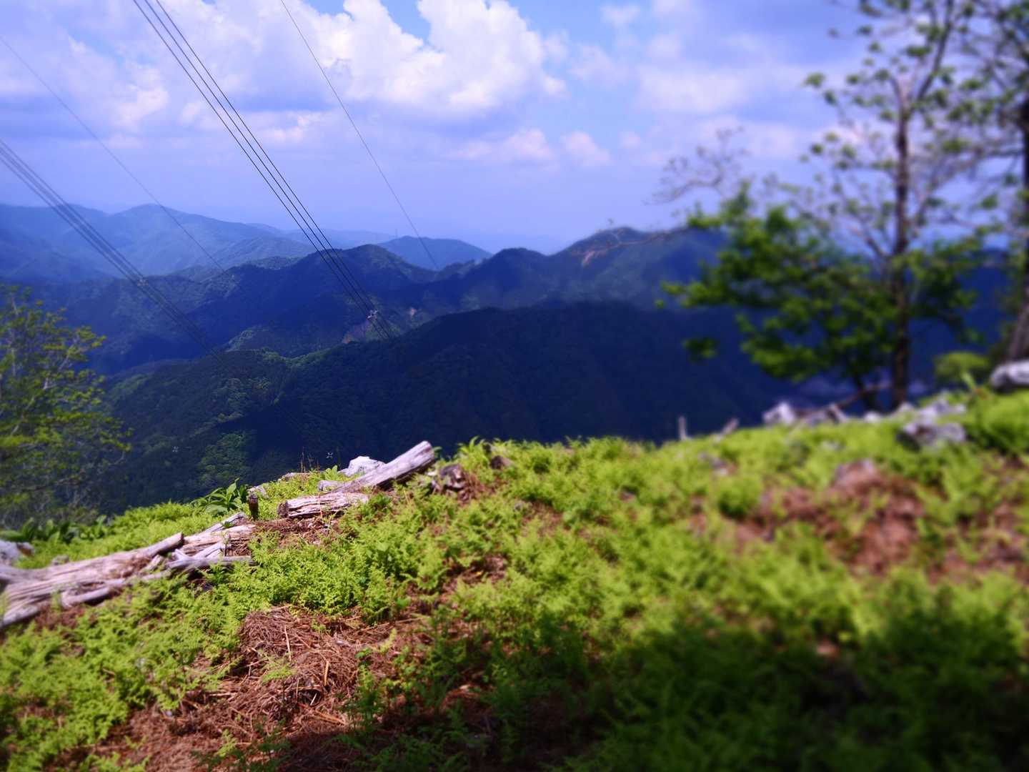 茶野-桜峠-鈴ヶ岳 往復コースの写真