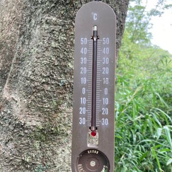 見えにくいですが、30℃です