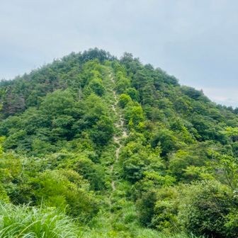 金見山が見えてきた〜