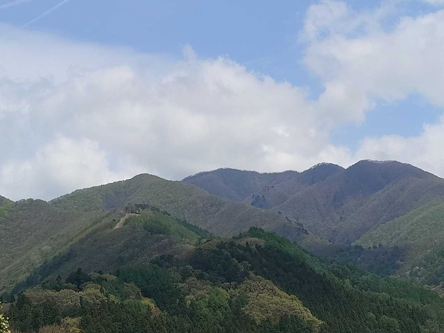 川桁山登山道入口-川桁山 周回コースの写真