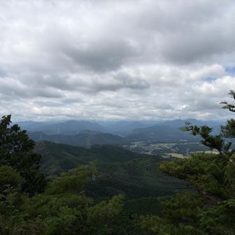 低山なので気温高めです。
