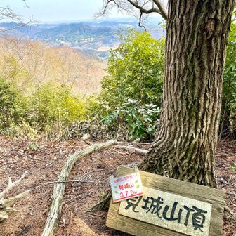見城山🙌
ここに来る途中ガサガサ音がするから見てみると🐒が…ちょっと怖かった😰