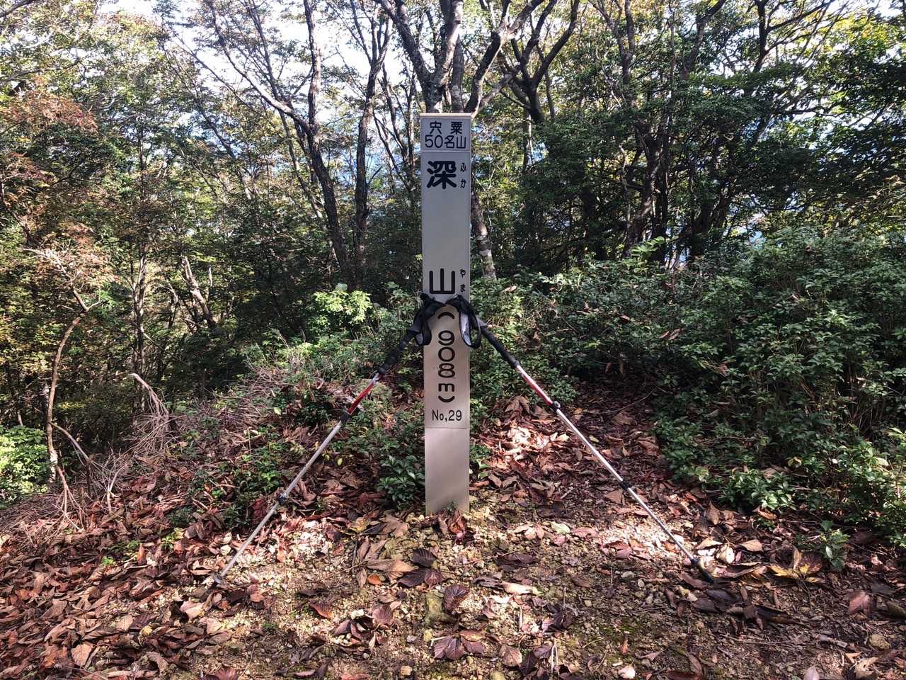深山の頂上。樹木が生い茂って周りの景色がほとんど見えません。この頃は雲もあがり遠くの景色が見えていたのに残念です。