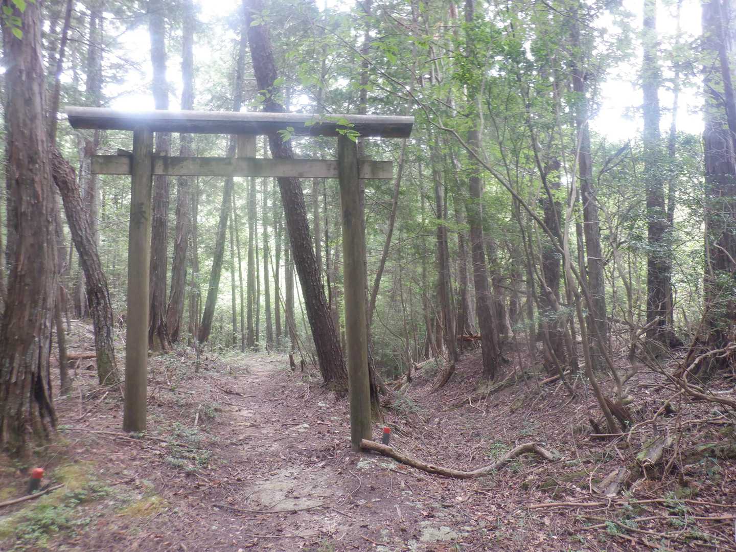 海神社の鳥居、祠はここから２５ｍ
