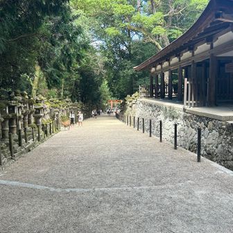 今日は参拝者が少なく感じます。