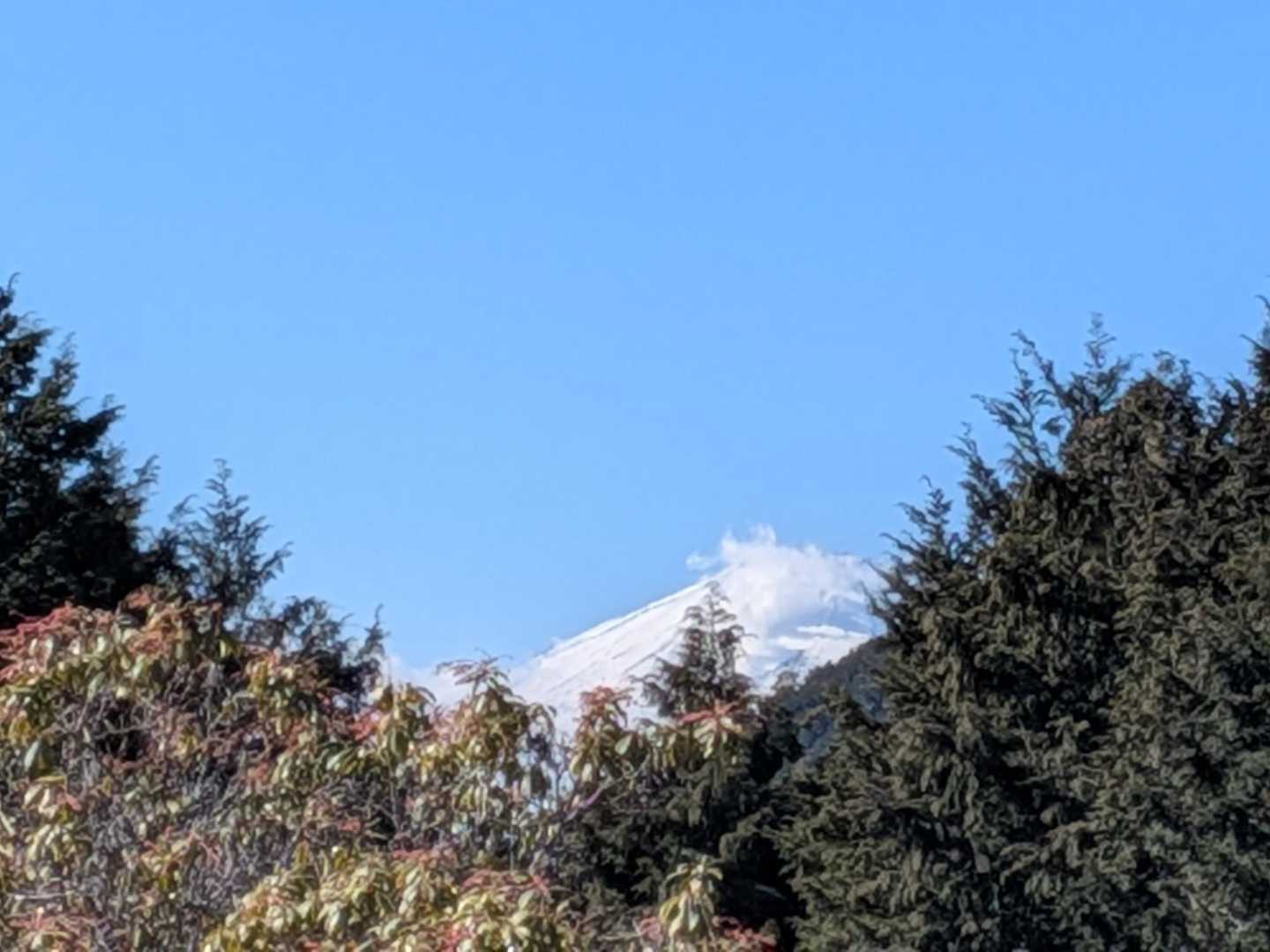 残念ながら富士山は雲隠れ。朝は綺麗だったよ！