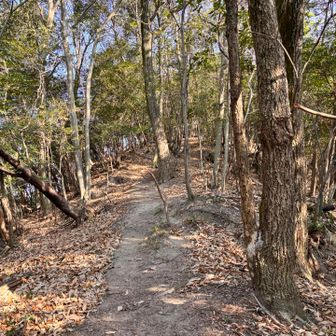 登って下山します😃