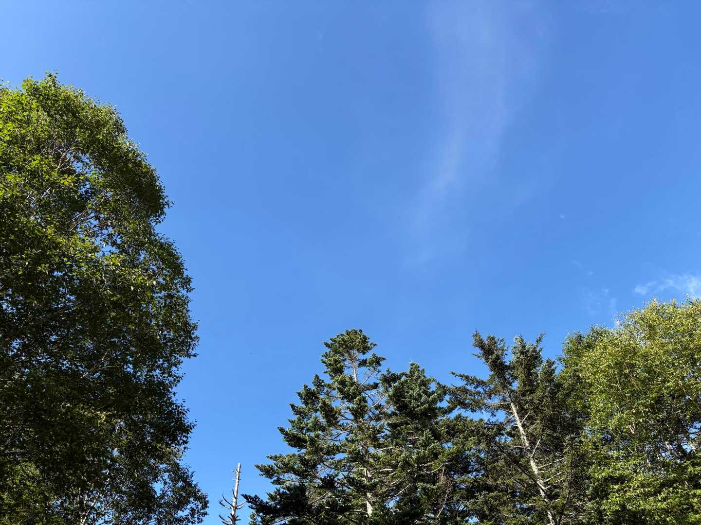 天気は☀️。晴れ男(*^^)v
