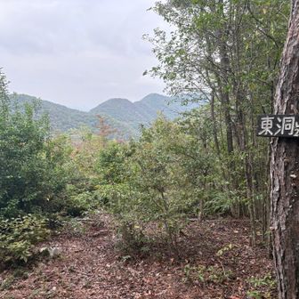 東洞山の山頂標識と北方向の眺望。ここで昼食。