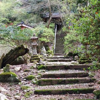 本日はよろしくお願いします。