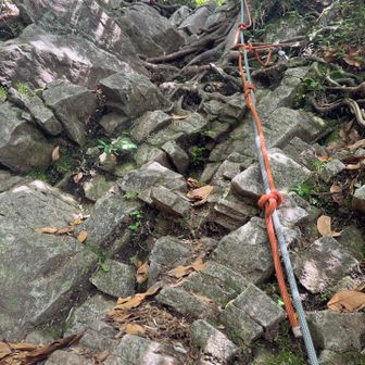Climb the ropes 