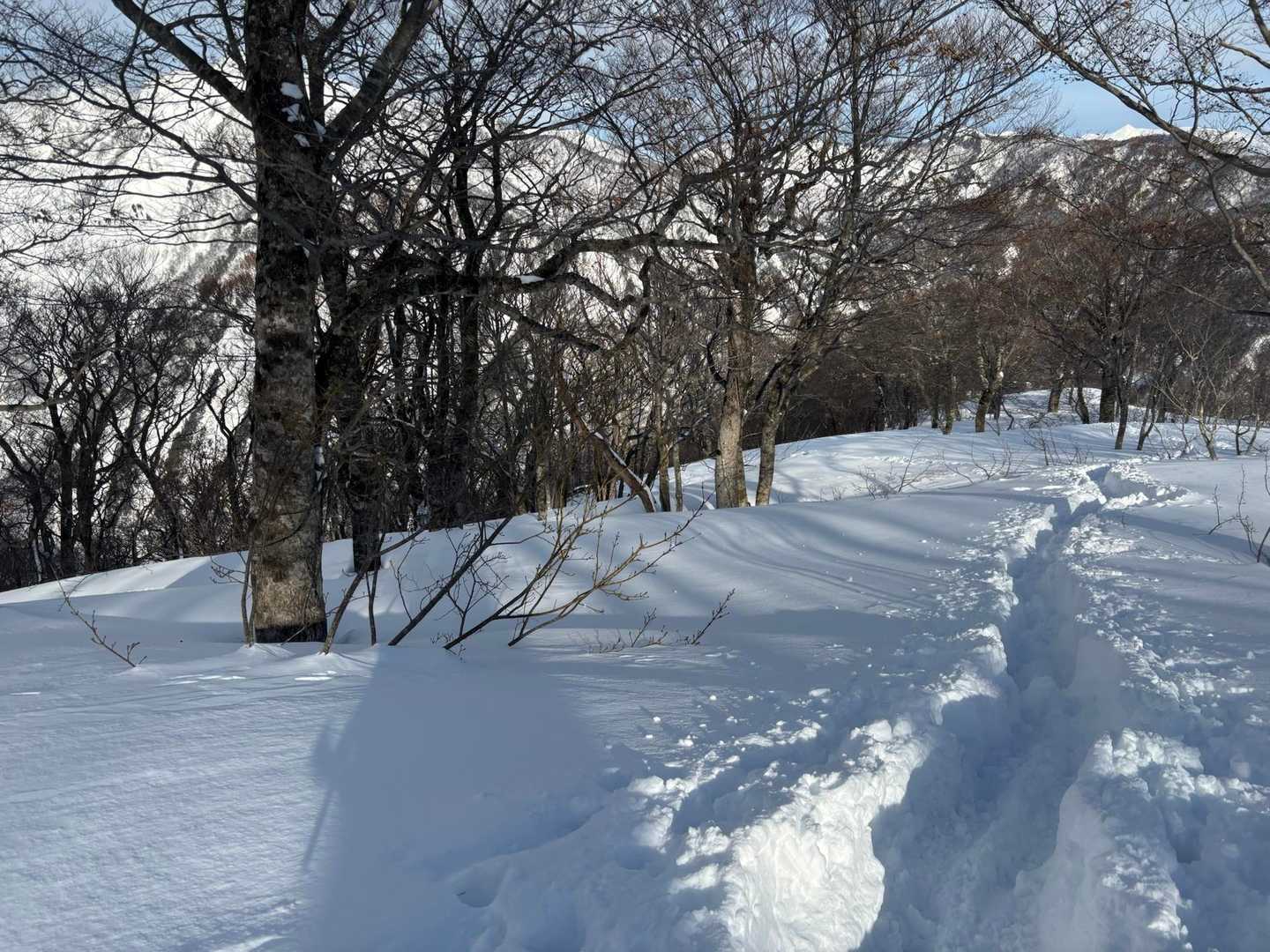 くっきりトレース
先行者の皆さんありがとうございました😊

この後に登りの時にすれ違ったグループと再び出会う
何と新潟同郷人とのこと😳
しかも同中学校区の人もいました

またどこかで！