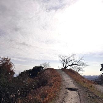 今日の焼き米ケ原は、大音量で🎈していたグループに、ラジコンカーを操縦するおじさん
登山客は10人ぐらいだったかな？