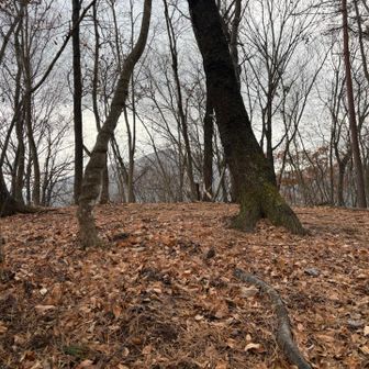小雨の中
都留アルプス山頂で休憩する。
予定より早めに降り出した。
