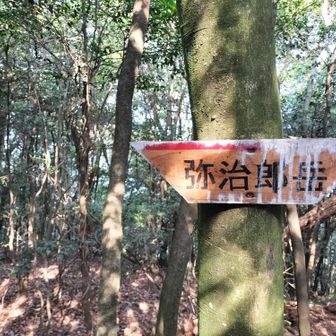 弥治郎岳

少し給水をして引き返す。