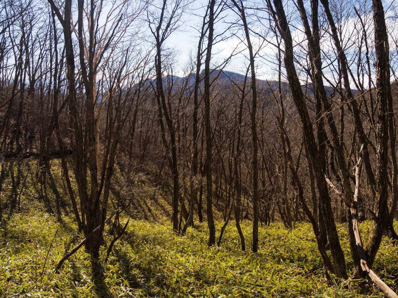 振り返ると鼻曲山