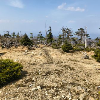 八経ヶ岳よりはゆっくりできるスペースありそう