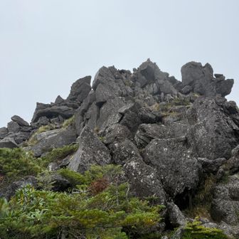 ここを降りてきました
ミッ岳の最大難所かしら