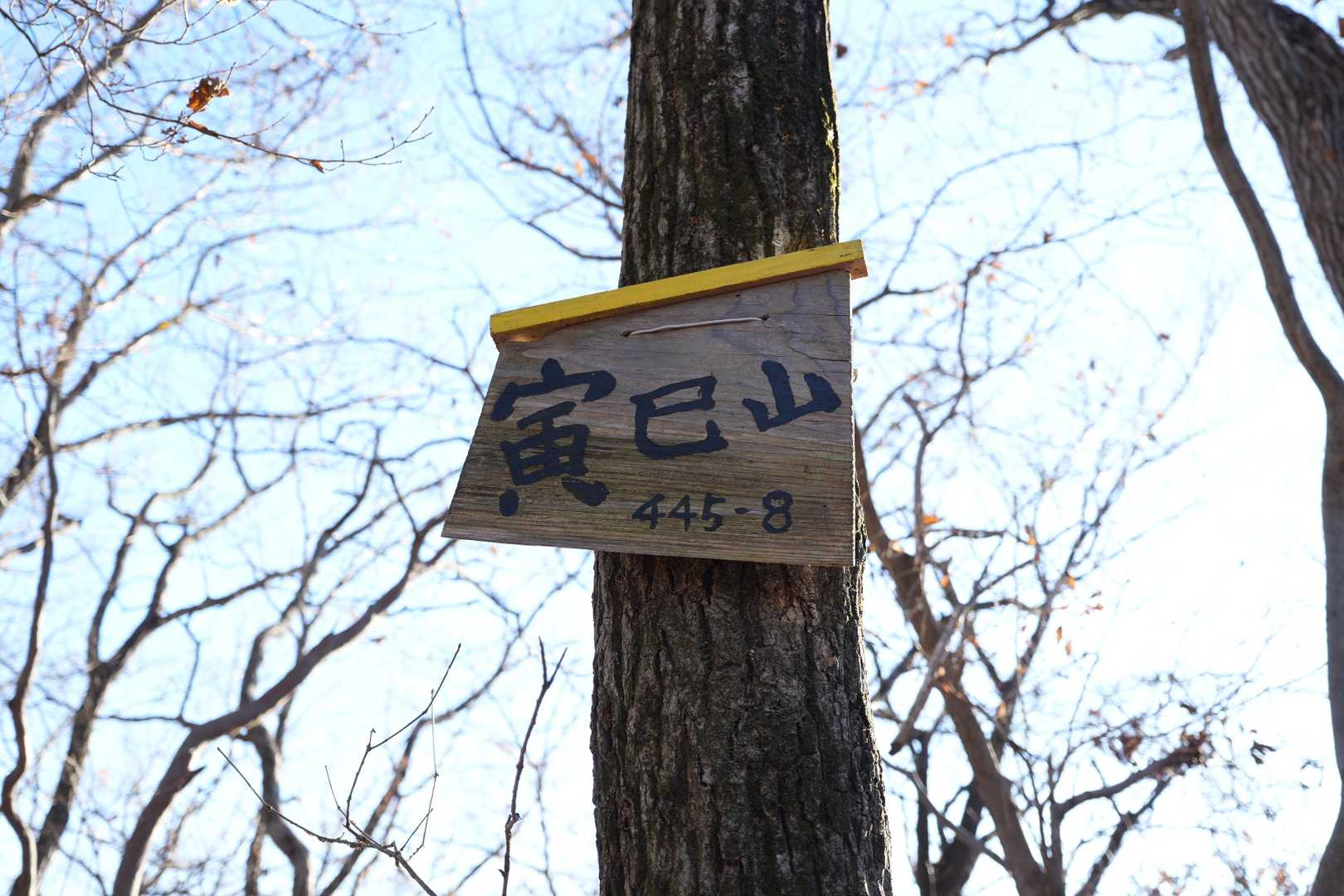 寅己山山頂