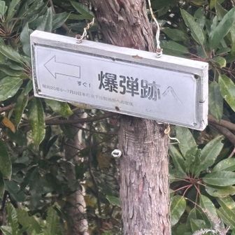 爆弾跡地へ　薄暗くなってきたけど行ってみよう🚶‍♂️