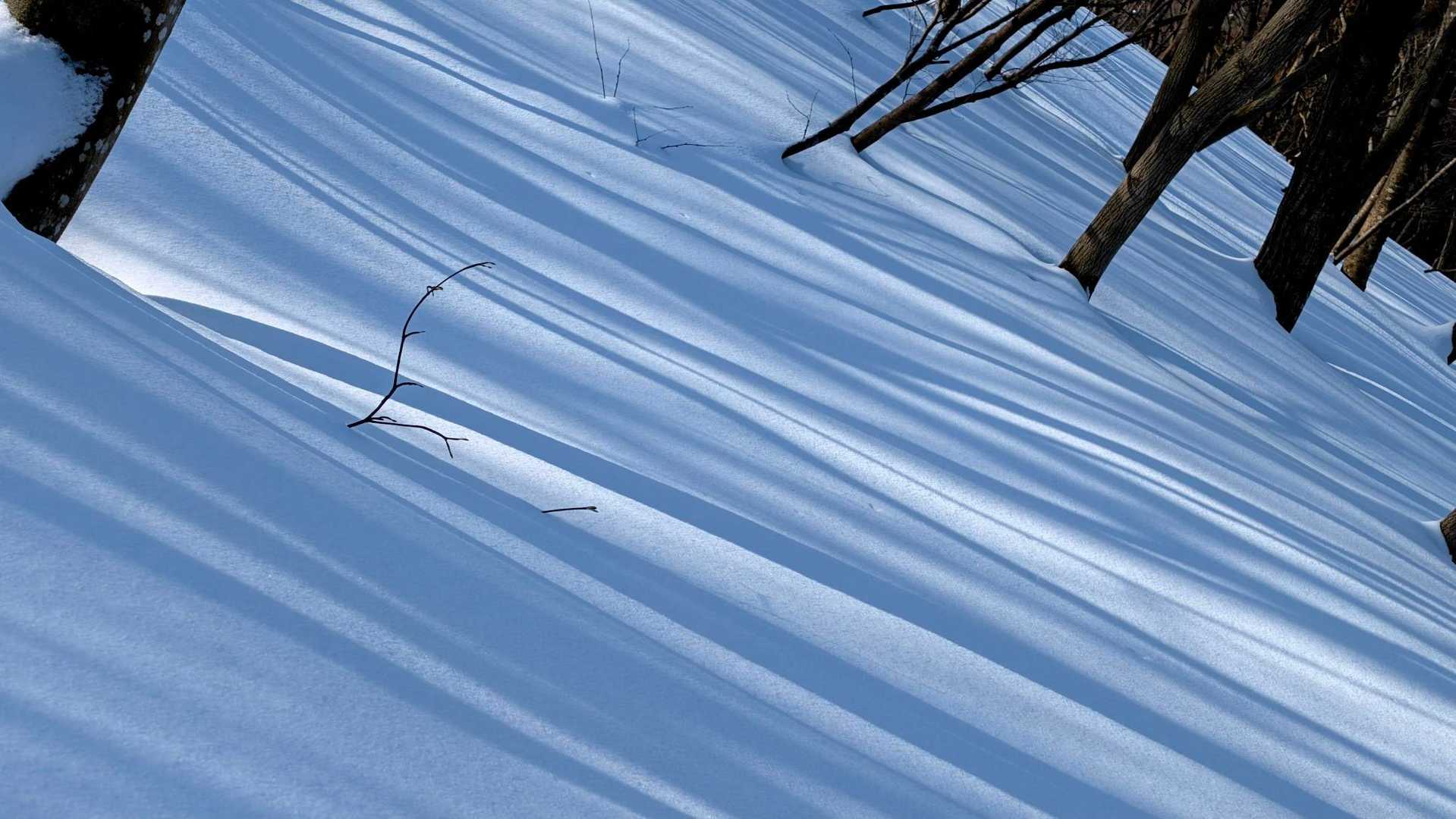 雪面の影絵
