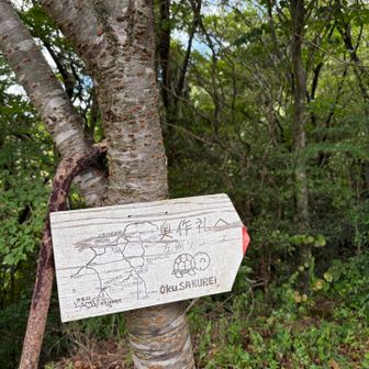 奥作礼へ　左周りコース🐢