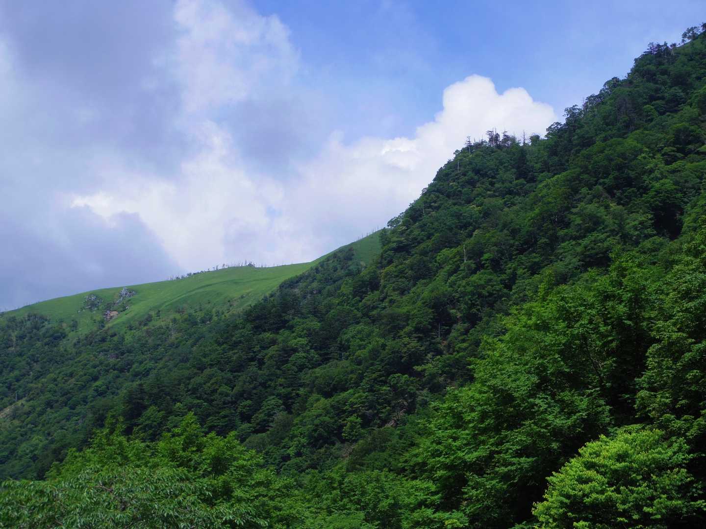 縦走路が見えた