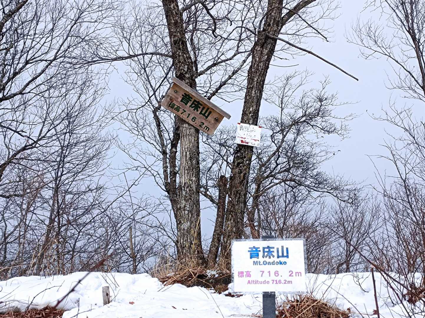 山頂到着