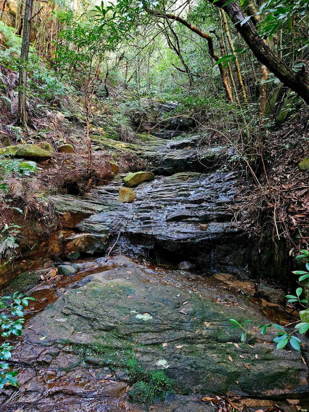 こんな沢の横を通って行くと👣