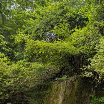 前来た時この看板気になっていた。
