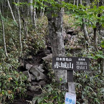 さぁ、急登の始まりだ！