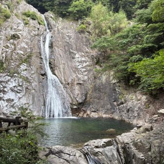 今日はＪＲ三ノ宮駅スタート▶️

布引の滝の水量は、通常の量に戻ってた☺️