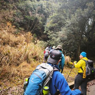林道から尾根道に入る。

　尾根道の入り口は、ヤマップ地図の駐車場マークの下方、距離にして３０ｍくらいの地点。ピンテ有り。