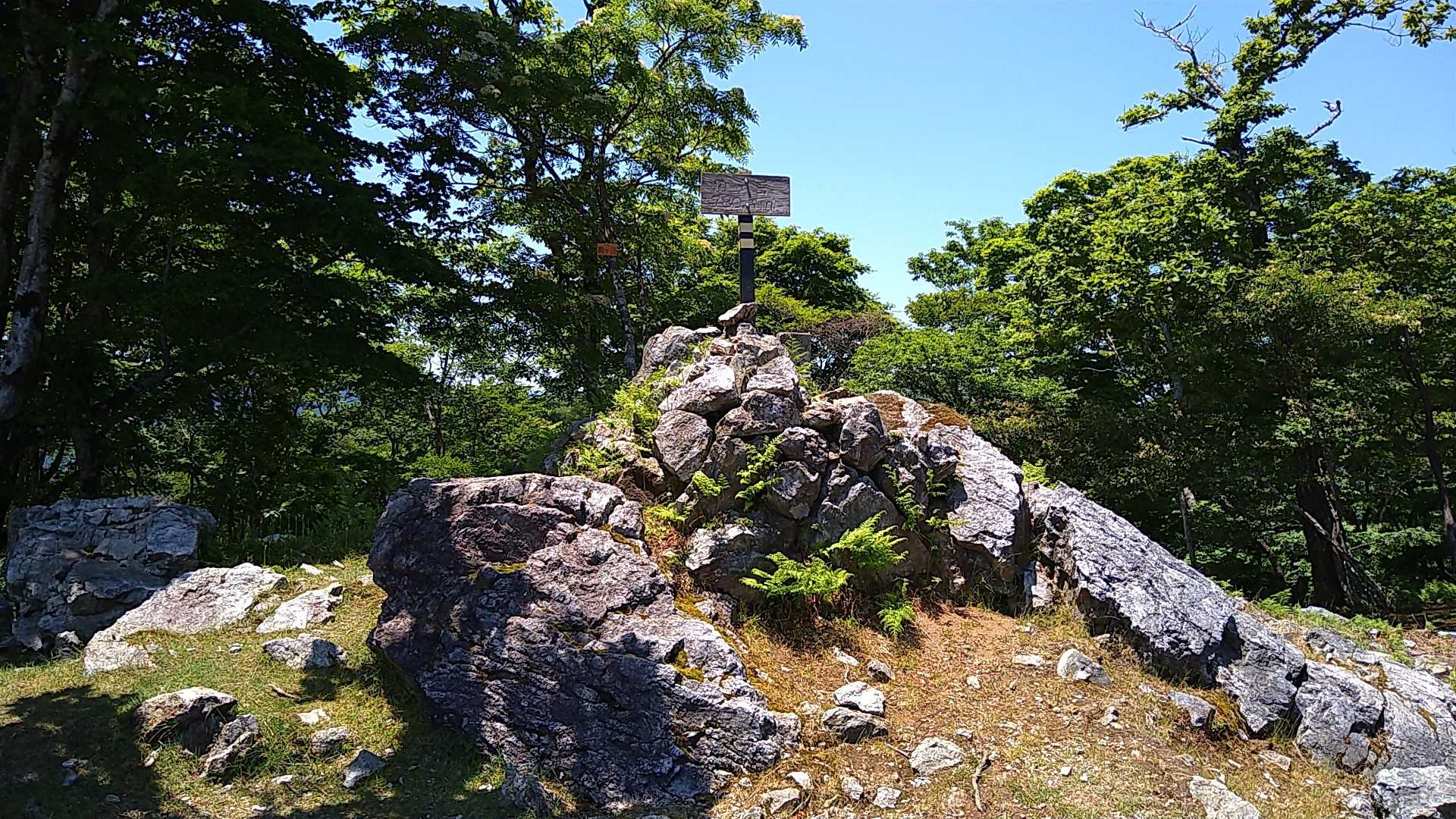 駒ヶ岳 往復コースの写真