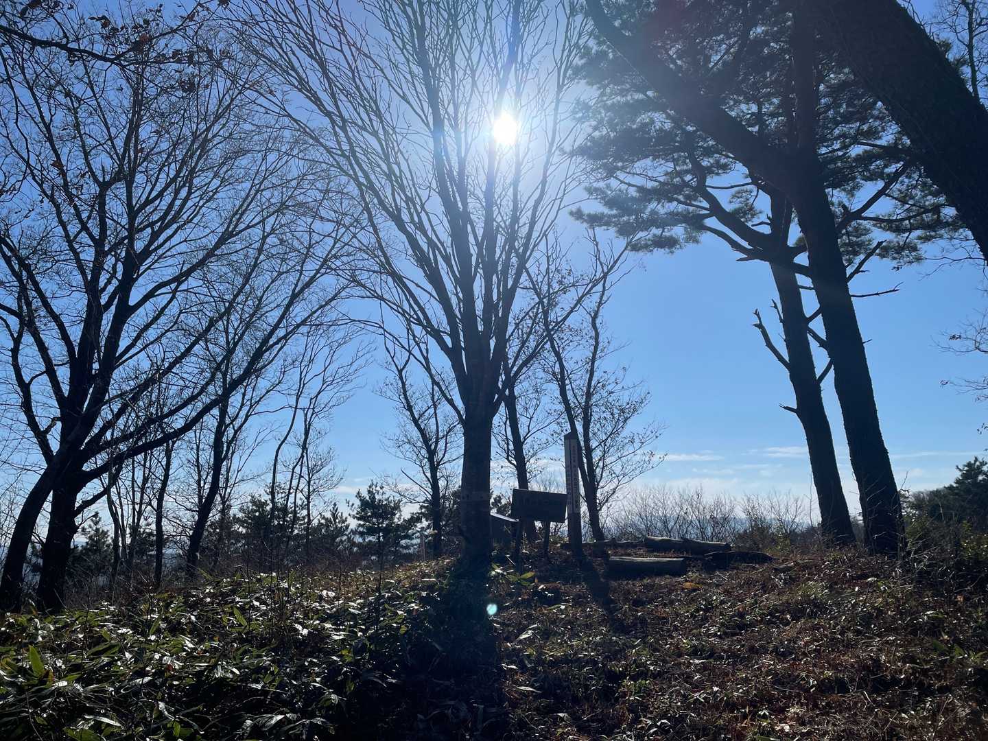 日晩山の写真