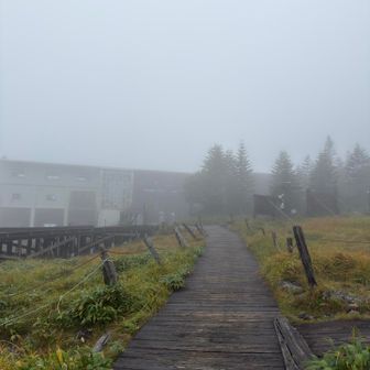 あそこが山頂駅ね