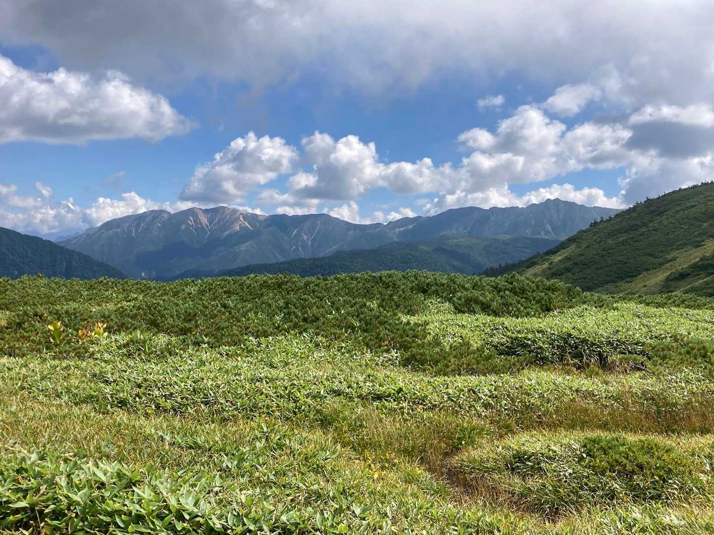 赤い赤牛岳〜黒い水晶岳✨
色づき始めた草原🍁