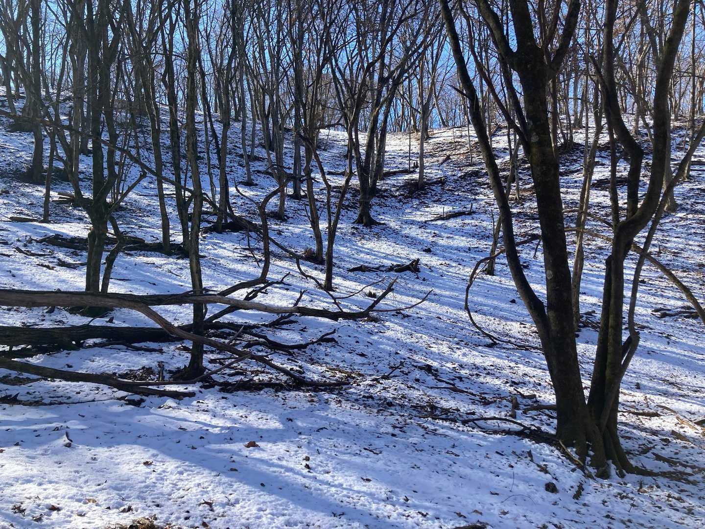 雪たくさんの北斜面にテンションあがる