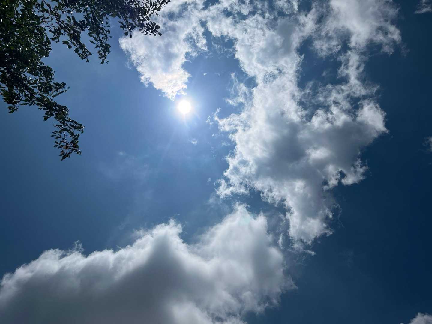 夏☀️