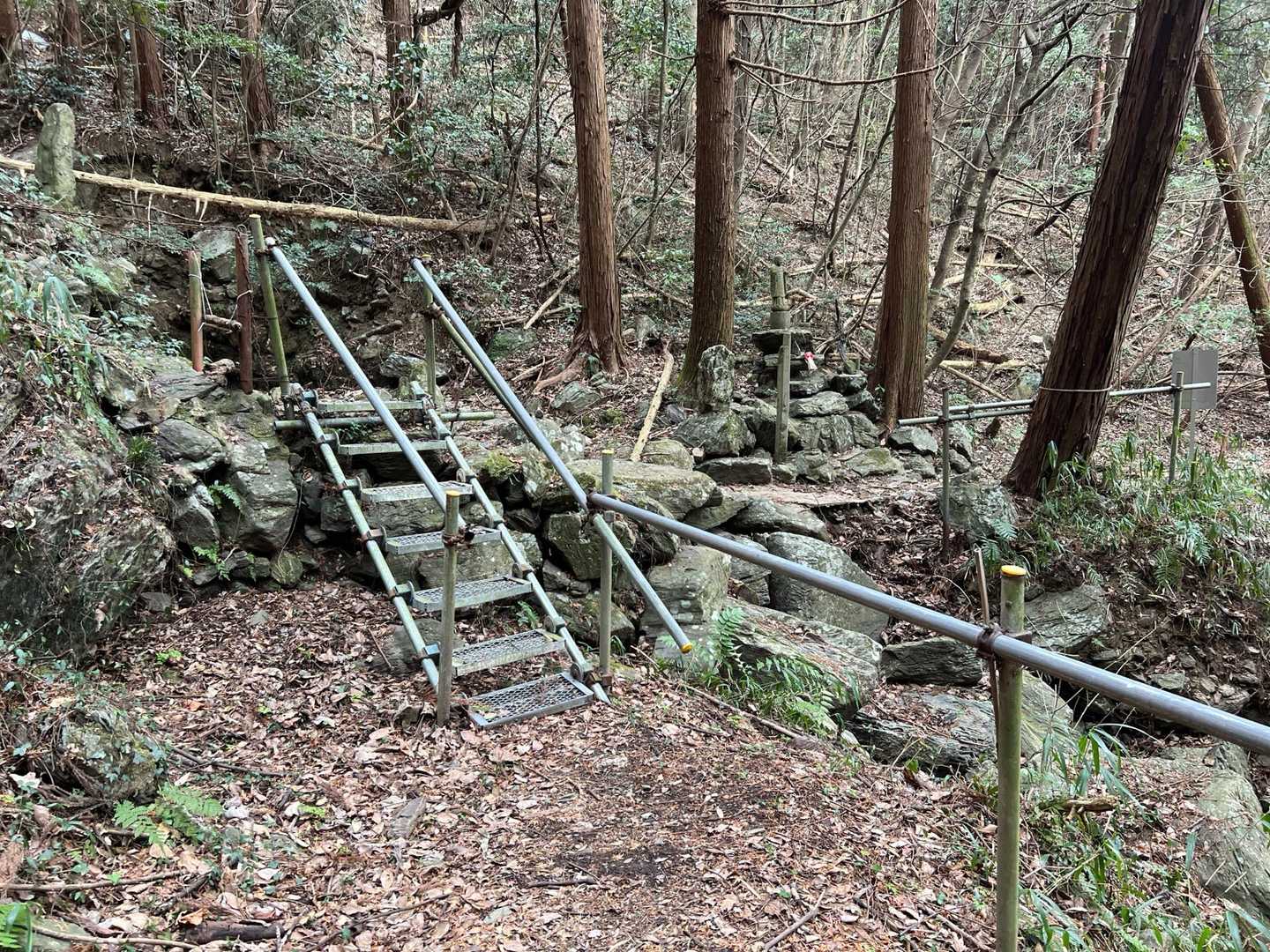 ん？
何でしょう。
