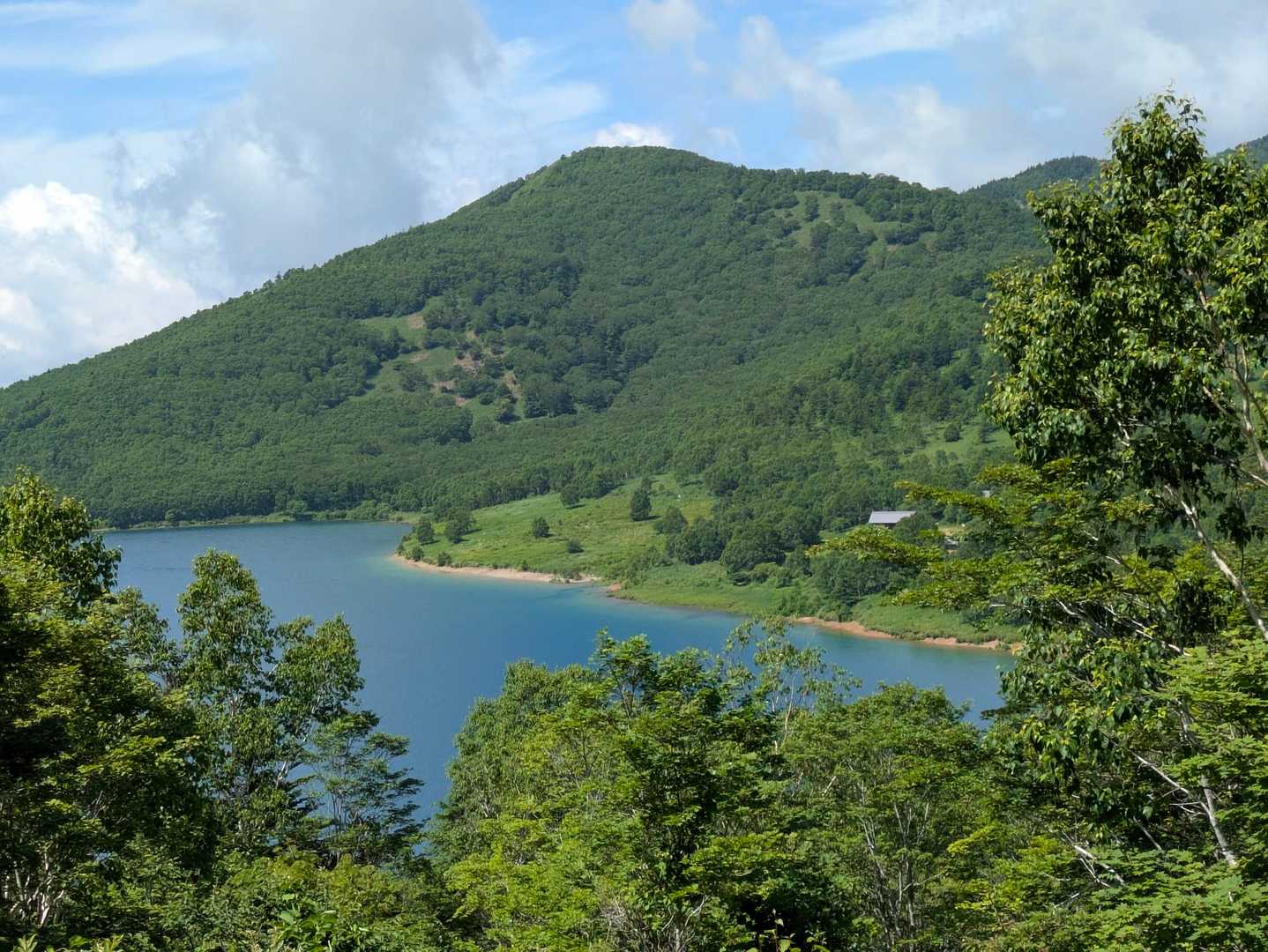 手前が大沼🫧奥が黒檜山⛰️いや、手前が覚満淵で奥が駒ヶ岳かな🤔、、、って、赤城山依存笑
もちろん野反湖です