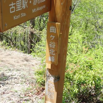 曲ヶ谷北峰に着きました🤗