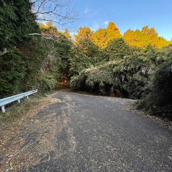 西側の駐車場🅿️マークの所
広いので路駐はできそうでした