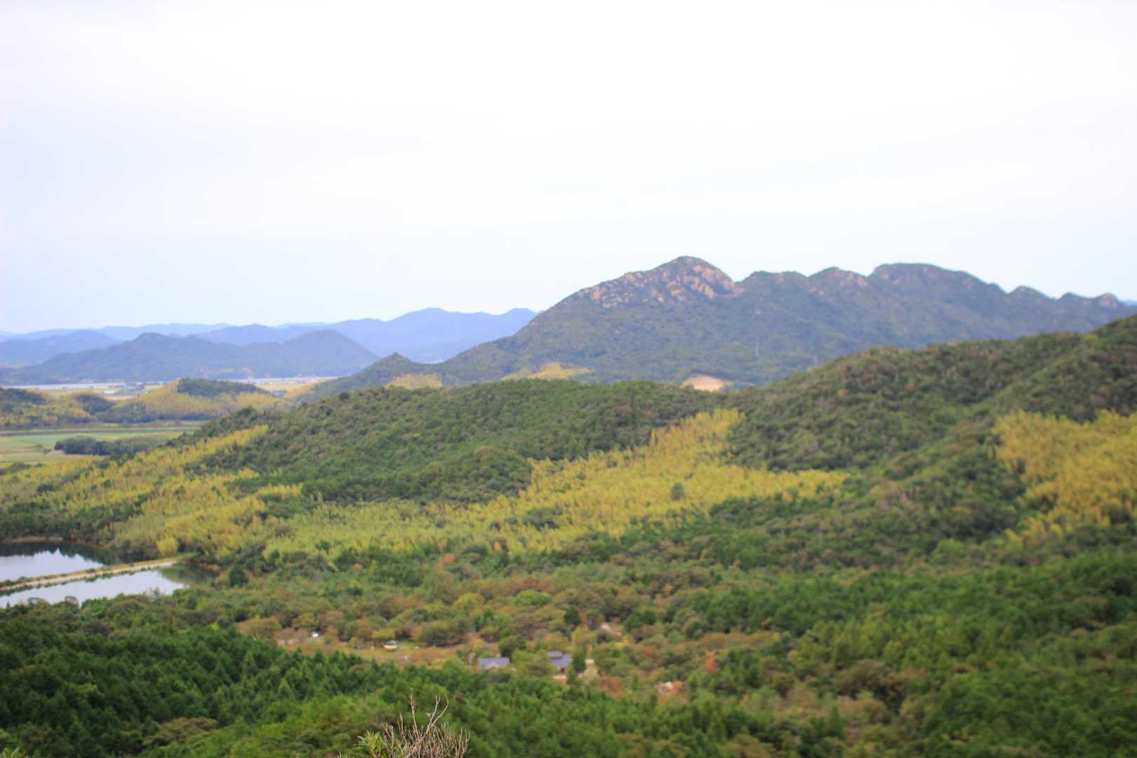 東登山口-亀尾山-勘十郎岳 周回コースの写真