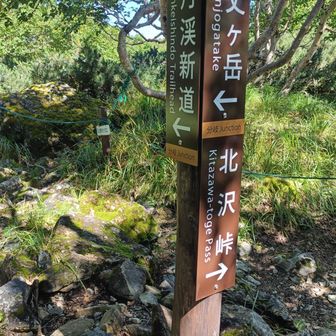 本道への分岐　あとは仙丈小屋まで直線